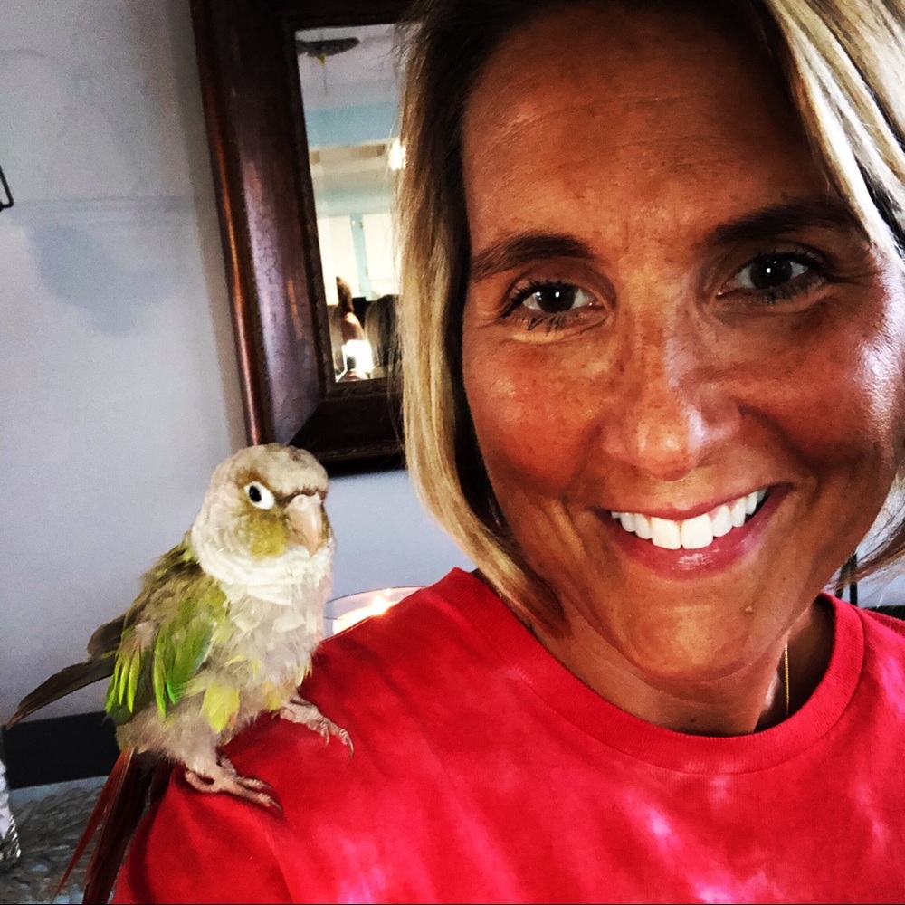 Meet your Posher, Julie